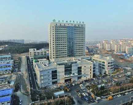 山东大学齐鲁医院