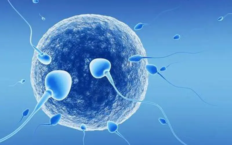 生化妊娠是什么意思,女性怀孕后的身体症状有哪些