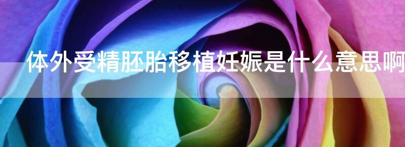 体外受精胚胎移植妊娠是什么意思