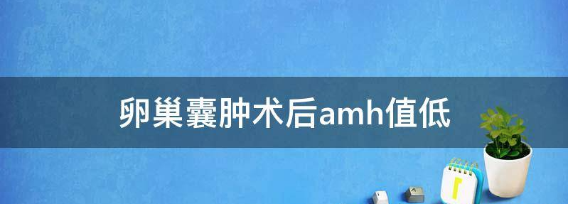 卵巢囊肿切除术后amh低只有0.8还能试管吗