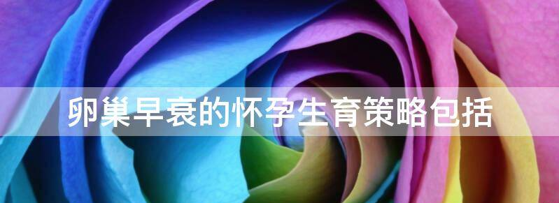 聊聊卵巢早衰的怀孕方案