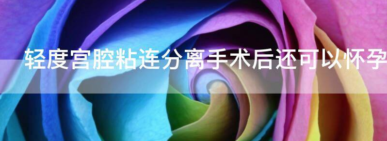 轻度宫腔粘连分离手术后还可以怀孕吗?