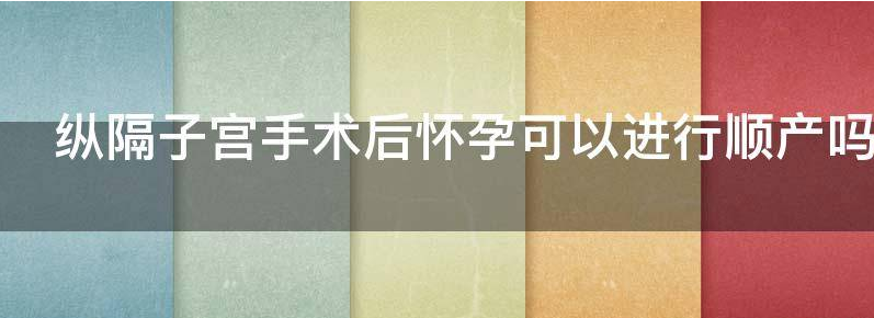 纵隔子宫手术后怀孕可以进行顺产吗?