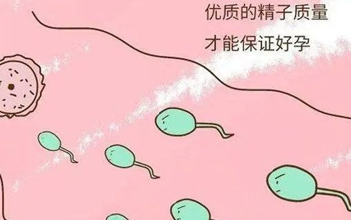 精子活力二级正常吗怀孕吗？
