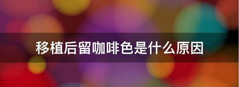 胚胎移植后分泌咖啡色是怎么回事?