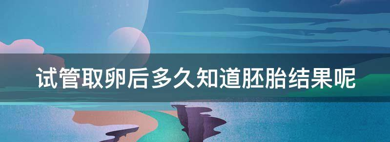 解读试管取卵后多久知道胚胎结果呢