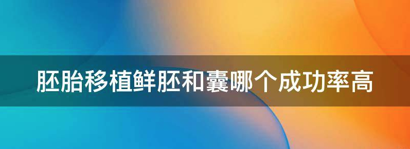 浅谈移植鲜胚成功率高还是囊胚的成功率高
