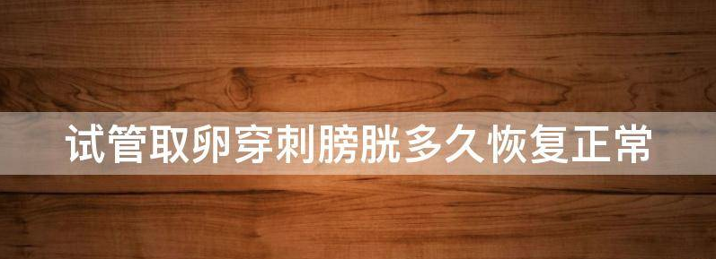 试管取卵穿刺膀胱多久恢复