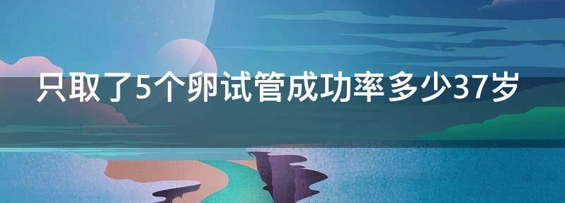 只取了5个卵试管成功率多少