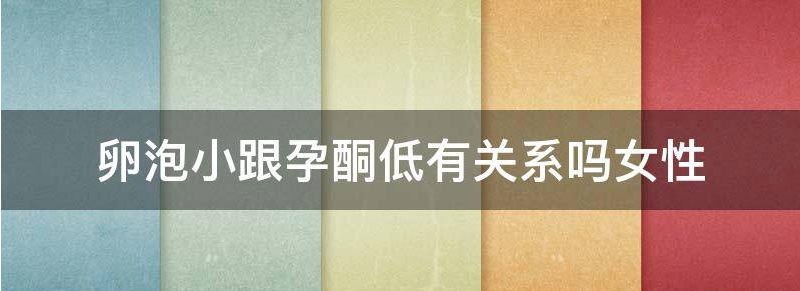卵泡小跟孕酮低有关系吗
