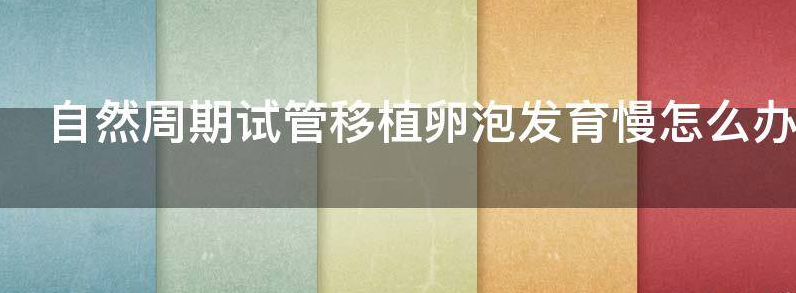 自然周期试管移植卵泡发育慢