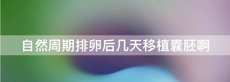 自然周期排卵后几天移植囊胚?