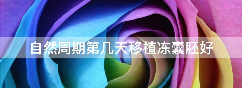 自然周期第几天移植冻囊胚?