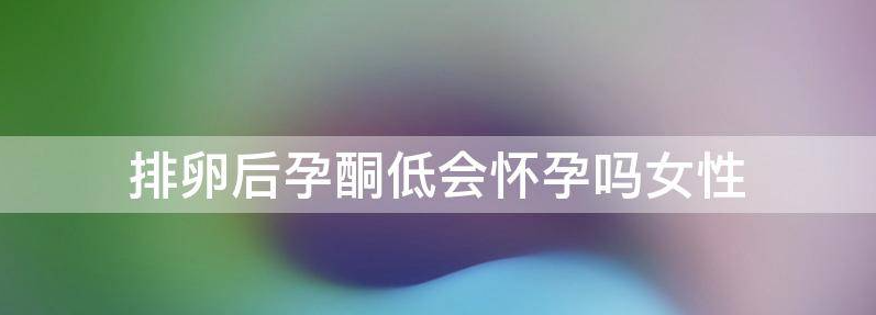 解密排卵后孕酮低会怀孕吗