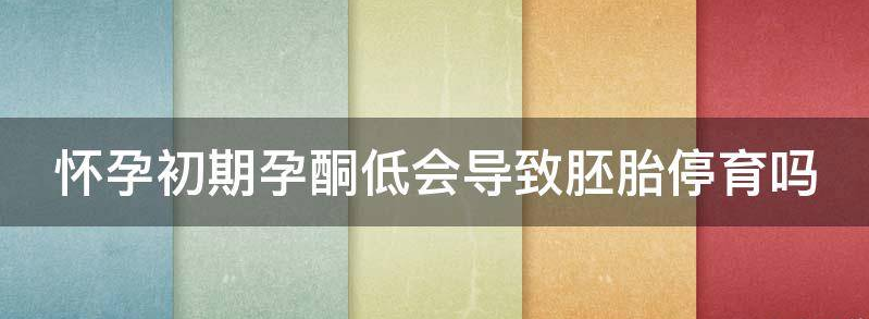 怀孕初期孕酮低会导致胚胎停育吗?
