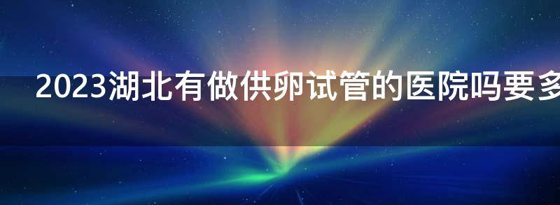 2023湖北有做供卵试管的医院吗要多少钱?
