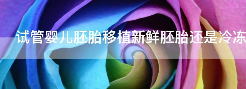 试管婴儿胚胎移植新鲜胚胎还是冷