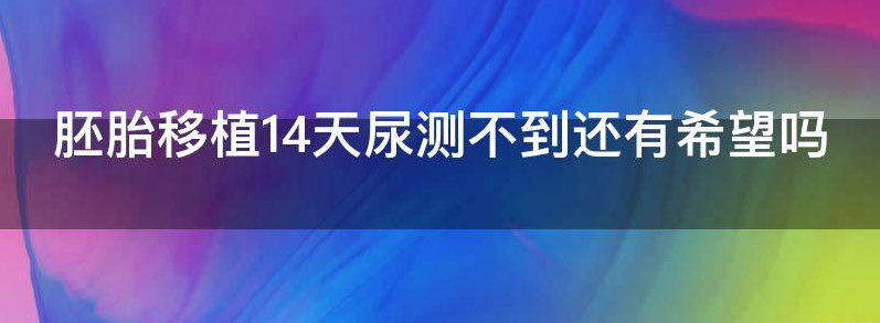 胚胎移植14天尿测不到强阳？