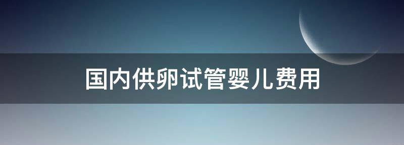 国内供卵试管婴儿一般要多少钱