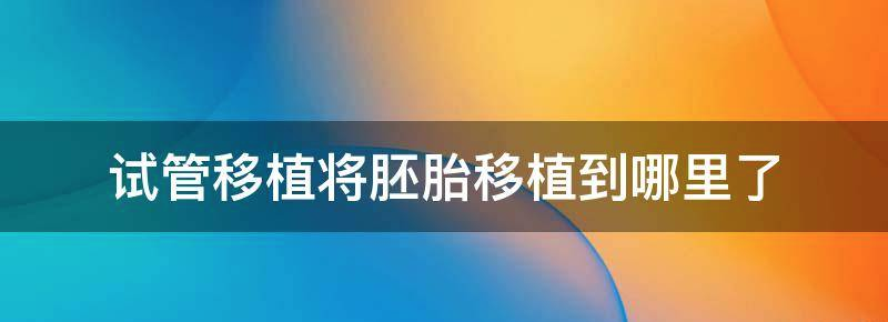 试管移植将胚胎移植到哪里