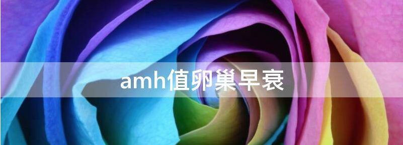 实用amh值0.62卵巢早衰医治好了的