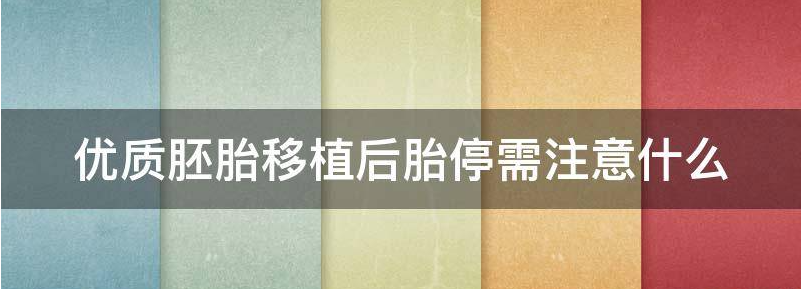 介绍移植胚胎停育多久能自然流产