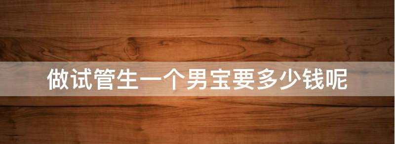 做试管生一个男宝要多少钱?