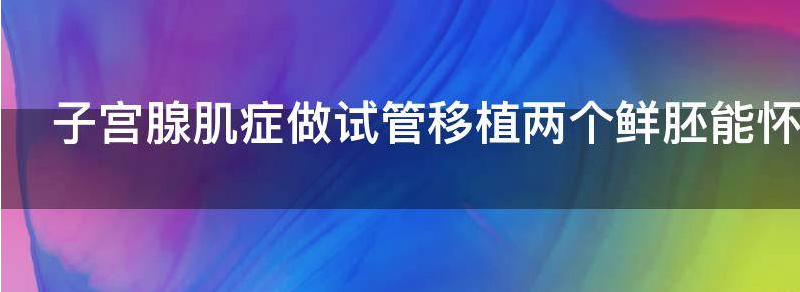 子宫腺肌症做试管移植两个鲜胚能怀上双胞胎