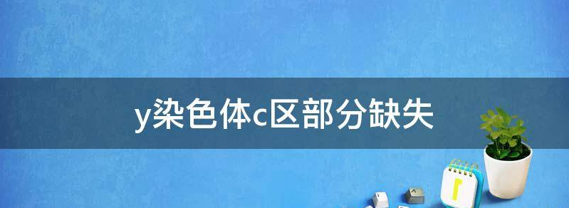 y染色体c区缺失做试管成功率高吗