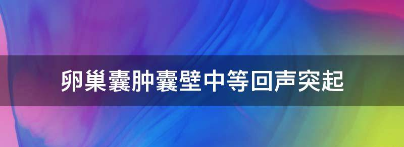 解答卵巢囊肿内壁中等回声