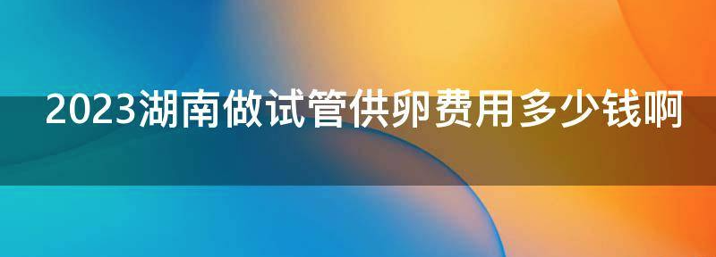 2023湖南做试管供卵费用多少钱