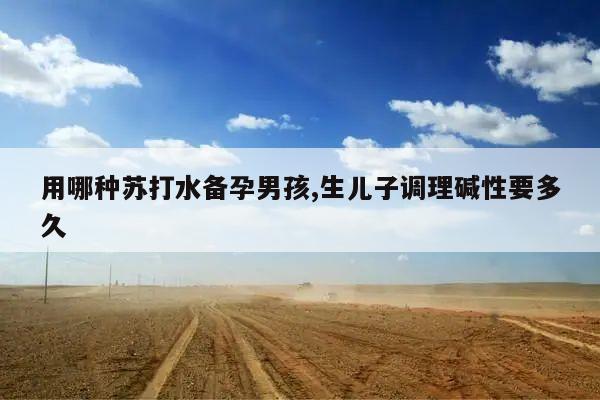 用哪种苏打水备孕男孩,生儿子调理碱性要多久