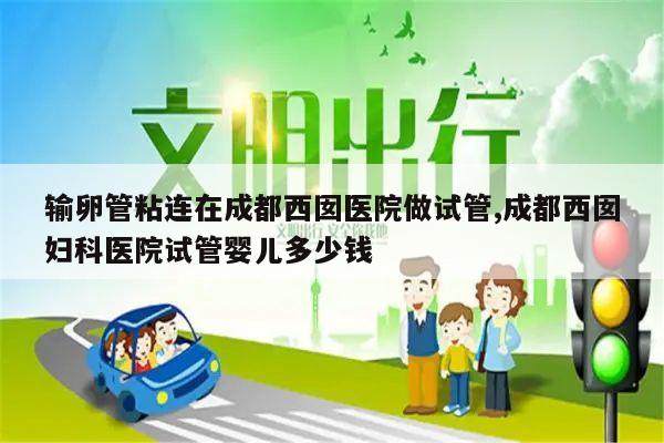 输卵管粘连在成都西囡医院做试管,成都西囡妇科医院试管婴儿多少钱
