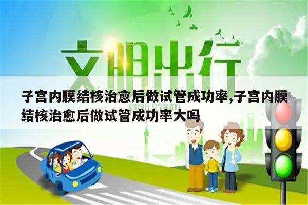 子宫内膜结核治愈后做试管成功率,子宫内膜结核治愈后做试管成功率大吗