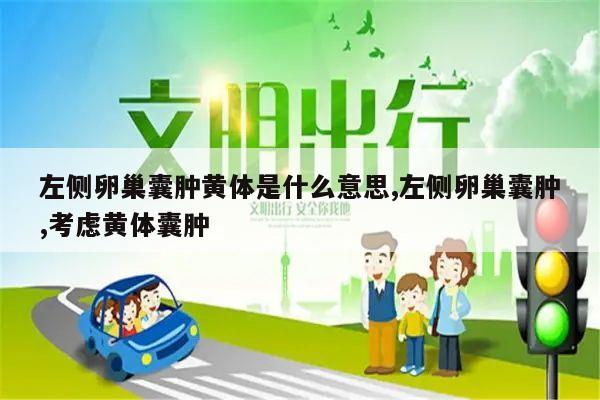 左侧卵巢囊肿黄体是什么意思,左侧卵巢囊肿,考虑黄体囊肿