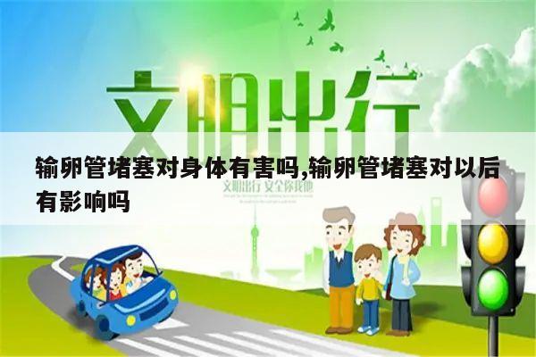 输卵管堵塞对身体有害吗,输卵管堵塞对以后有影响吗