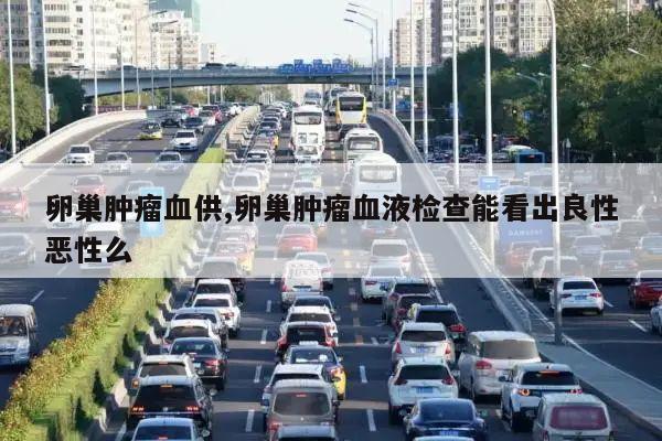 卵巢肿瘤血供,卵巢肿瘤血液检查能看出良性恶性么