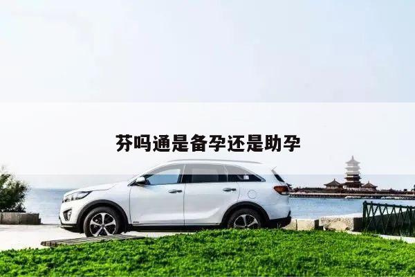 芬吗通是备孕还是助孕
