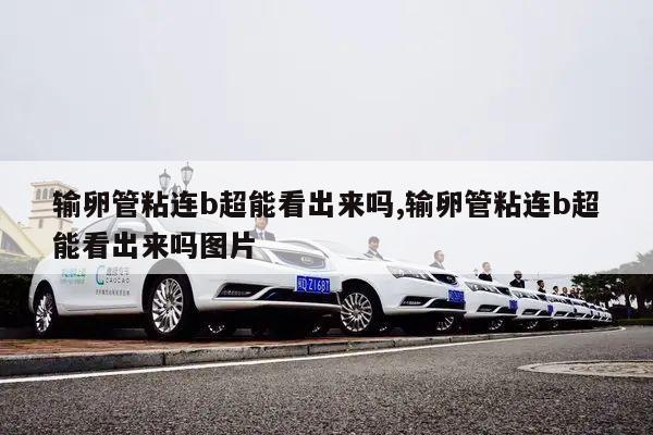 输卵管粘连b超能看出来吗,输卵管粘连b超能看出来吗图片