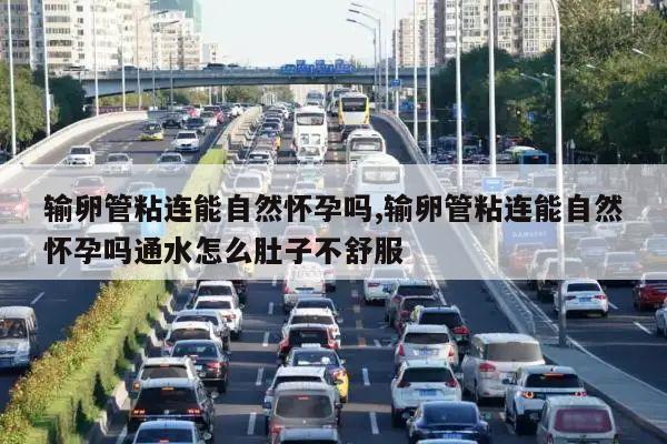 输卵管粘连能自然怀孕吗,输卵管粘连能自然怀孕吗通水怎么肚子不舒服