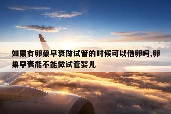 如果有卵巢早衰做试管的时候可以借卵吗,卵巢早衰能不能做试管婴儿