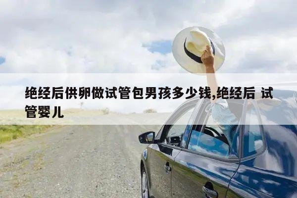 绝经后供卵做试管包男孩多少钱,绝经后 试管婴儿
