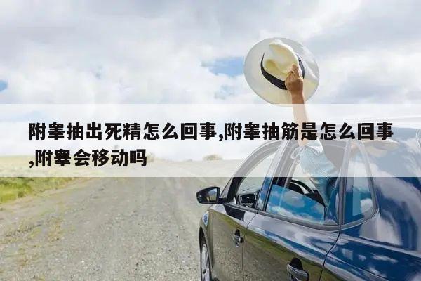 附睾抽出死精怎么回事,附睾抽筋是怎么回事,附睾会移动吗