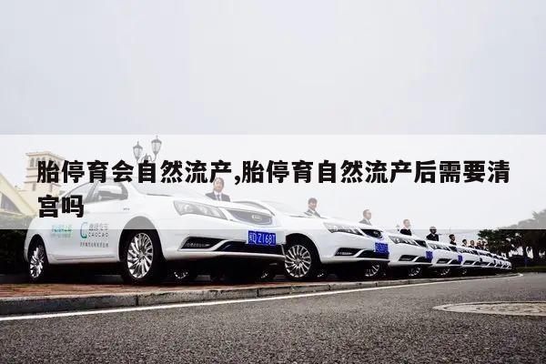 胎停育会自然流产,胎停育自然流产后需要清宫吗