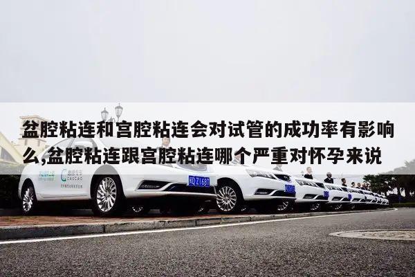 盆腔粘连和宫腔粘连会对试管的成功率有影响么,盆腔粘连跟宫腔粘连哪个严重对怀孕来说