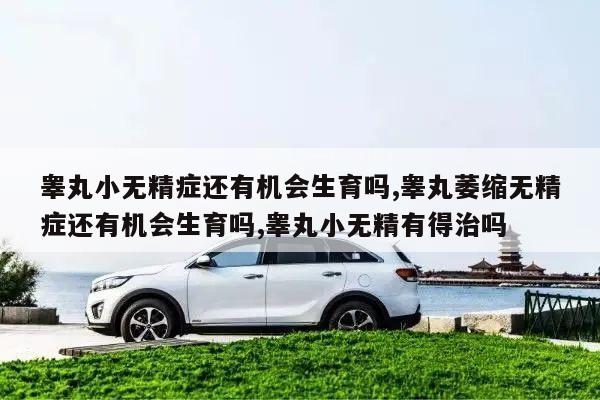 睾丸小无精症还有机会生育吗,睾丸萎缩无精症还有机会生育吗,睾丸小无精有得治吗