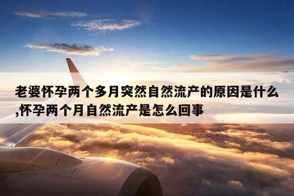 老婆怀孕两个多月突然自然流产的原因是什么,怀孕两个月自然流产是怎么回事