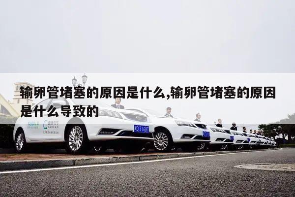 输卵管堵塞的原因是什么,输卵管堵塞的原因是什么导致的