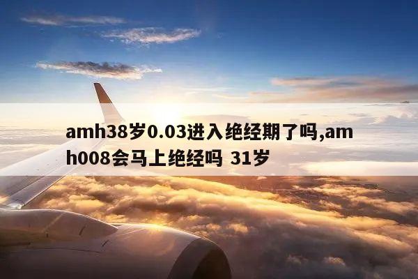 amh38岁0.03进入绝经期了吗,amh008会马上绝经吗 31岁