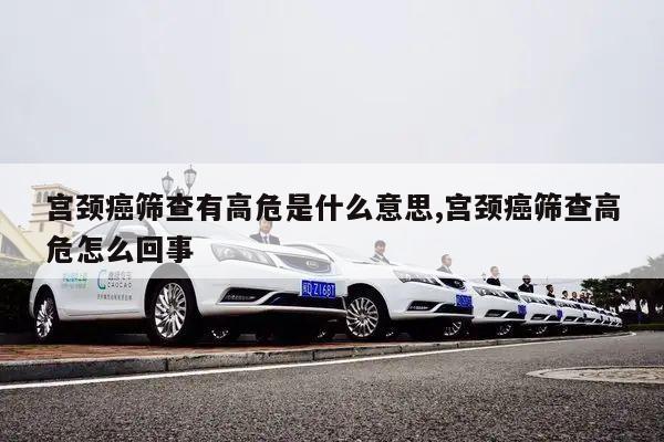 宫颈癌筛查有高危是什么意思,宫颈癌筛查高危怎么回事